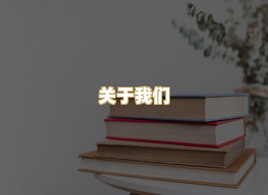 关于我们